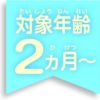 預訂- 日本進口 - POCKETMON 比卡超 嬰兒搖鈴 - Image 6